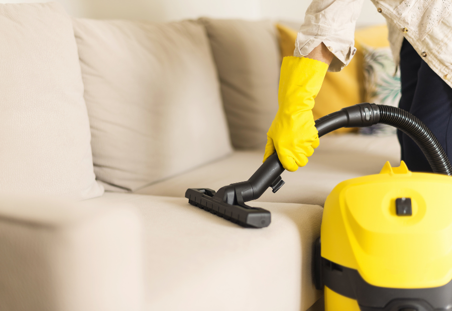 couch cleaning